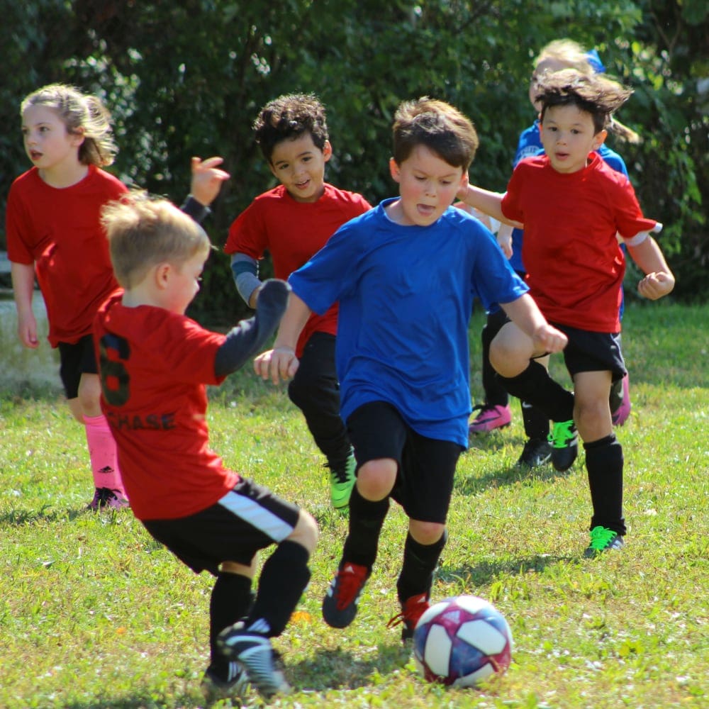 Little kids playing soccer